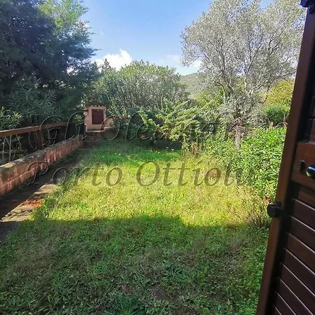 Gli Oleandri Di *